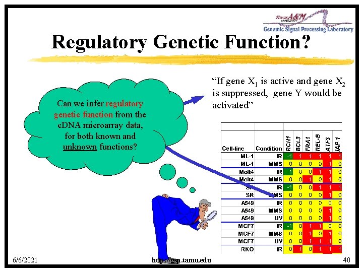 Regulatory Genetic Function? “If gene X 1 is active and gene X 2 is