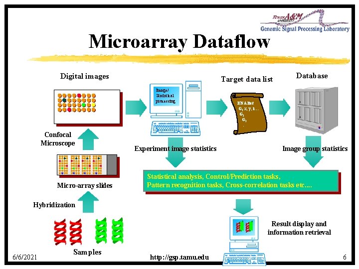 Microarray Dataflow Digital images Target data list Image/ Statistical processing Confocal Microscope Micro-array slides