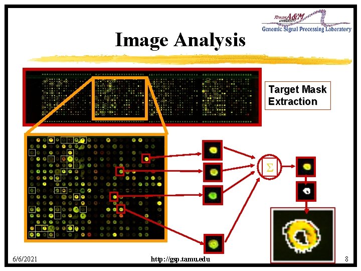 Image Analysis Target Mask Extraction 6/6/2021 http: //gsp. tamu. edu 8 