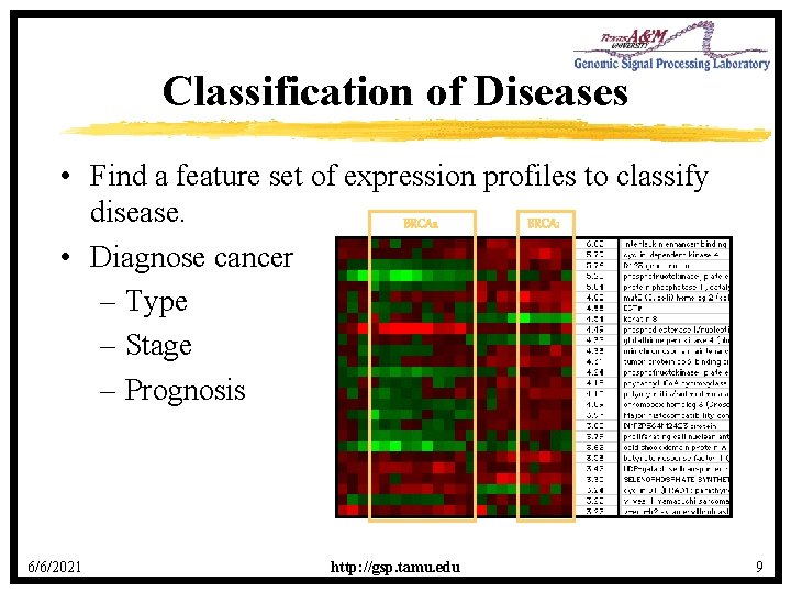 Classification of Diseases • Find a feature set of expression profiles to classify disease.
