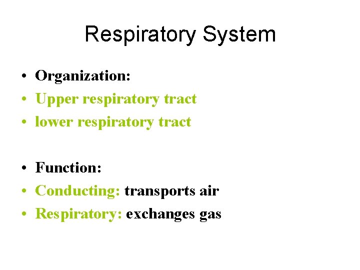 Respiratory System • Organization: • Upper respiratory tract • lower respiratory tract • Function: