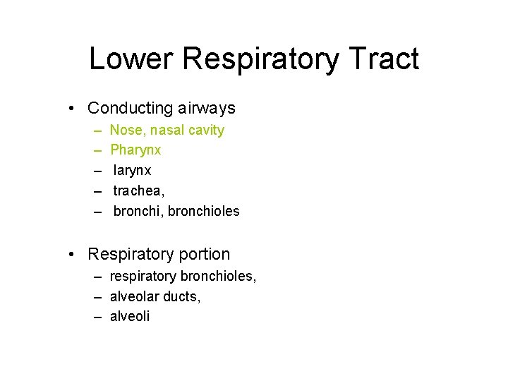 Lower Respiratory Tract • Conducting airways – – – Nose, nasal cavity Pharynx larynx
