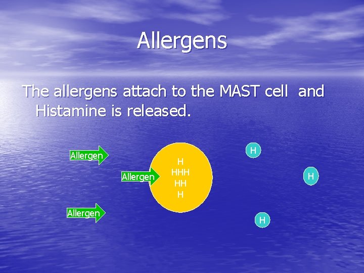 Allergens The allergens attach to the MAST cell and Histamine is released. Allergen H