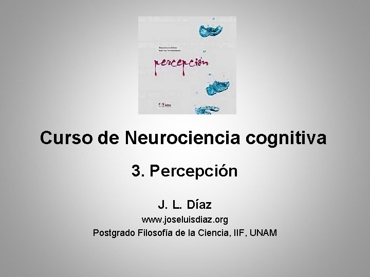 Curso de Neurociencia cognitiva 3. Percepción J. L. Díaz www. joseluisdiaz. org Postgrado Filosofía