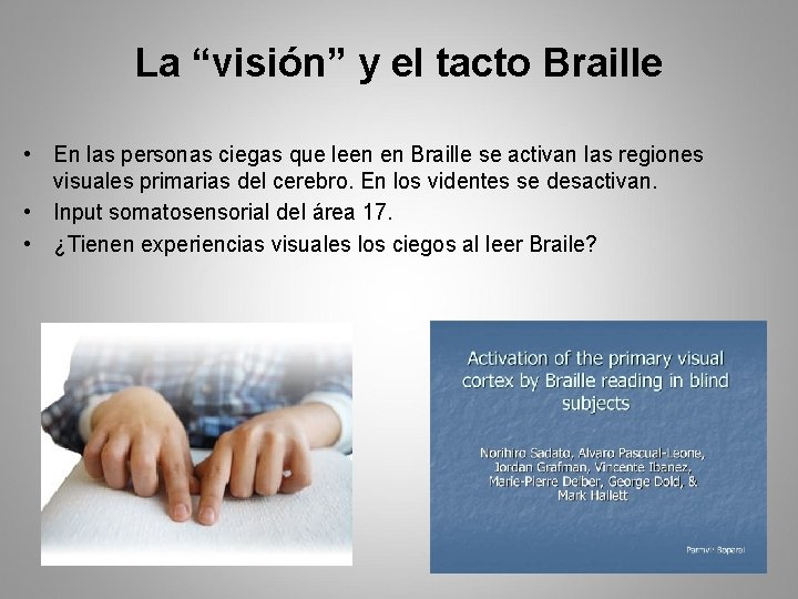 La “visión” y el tacto Braille • En las personas ciegas que leen en