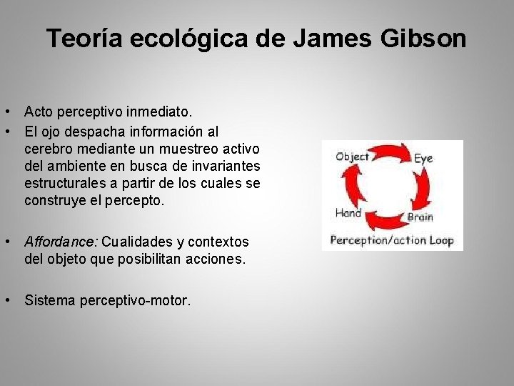 Teoría ecológica de James Gibson • Acto perceptivo inmediato. • El ojo despacha información