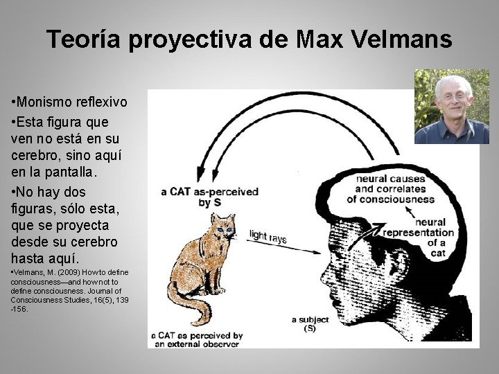 Teoría proyectiva de Max Velmans • Monismo reflexivo • Esta figura que ven no