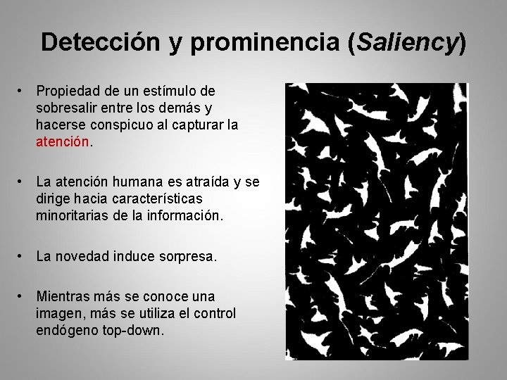 Detección y prominencia (Saliency) • Propiedad de un estímulo de sobresalir entre los demás