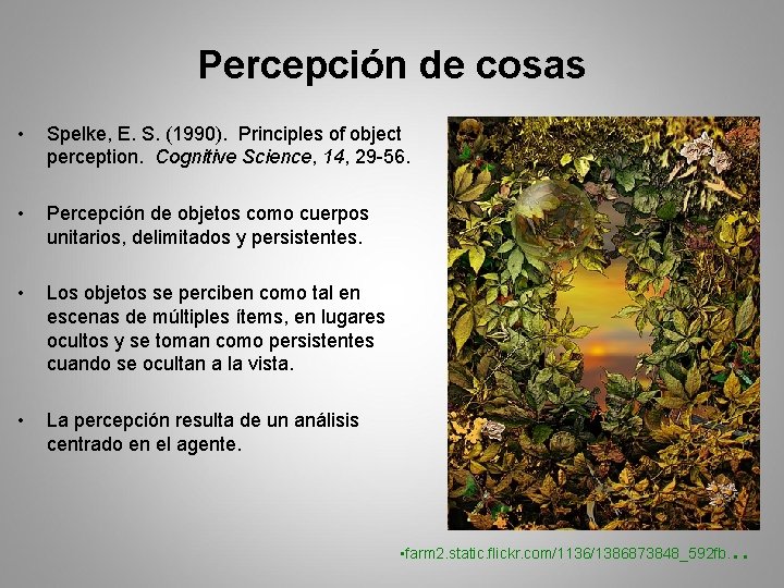 Percepción de cosas • Spelke, E. S. (1990). Principles of object perception. Cognitive Science,