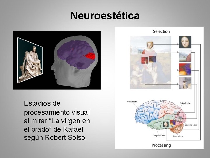 Neuroestética Estadios de procesamiento visual al mirar “La virgen en el prado” de Rafael