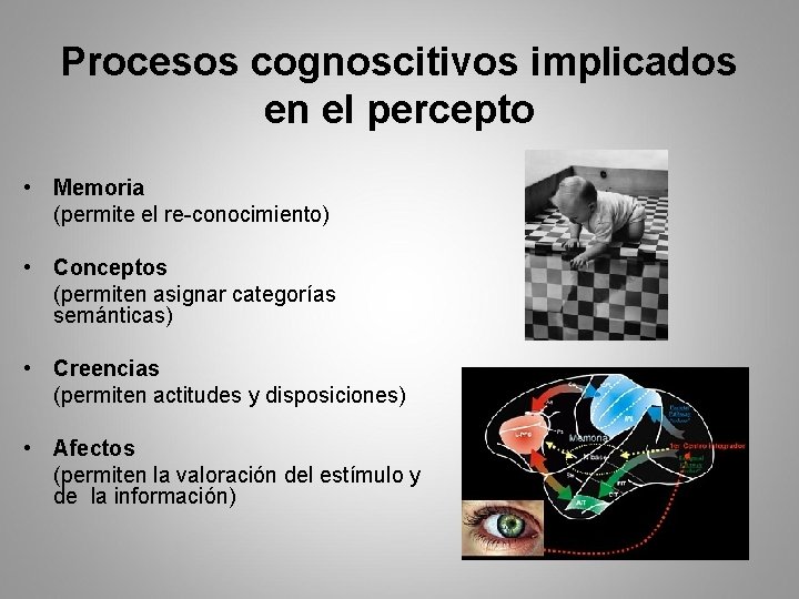 Procesos cognoscitivos implicados en el percepto • Memoria (permite el re-conocimiento) • Conceptos (permiten