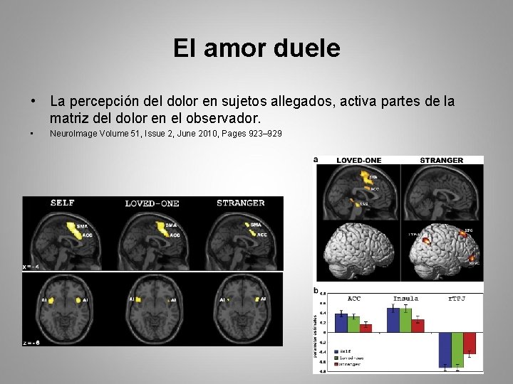 El amor duele • La percepción del dolor en sujetos allegados, activa partes de