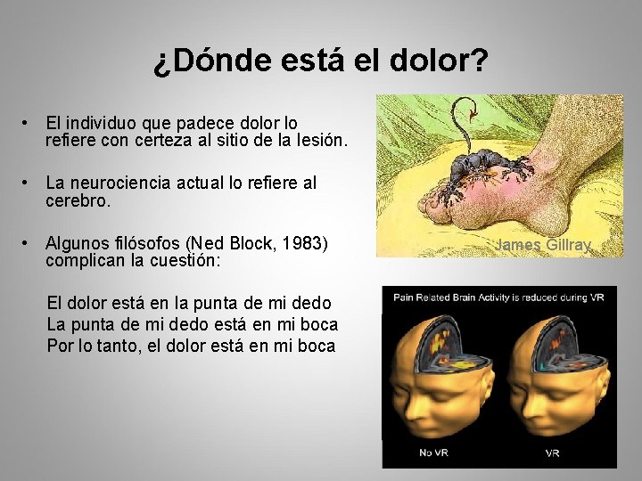 ¿Dónde está el dolor? • El individuo que padece dolor lo refiere con certeza