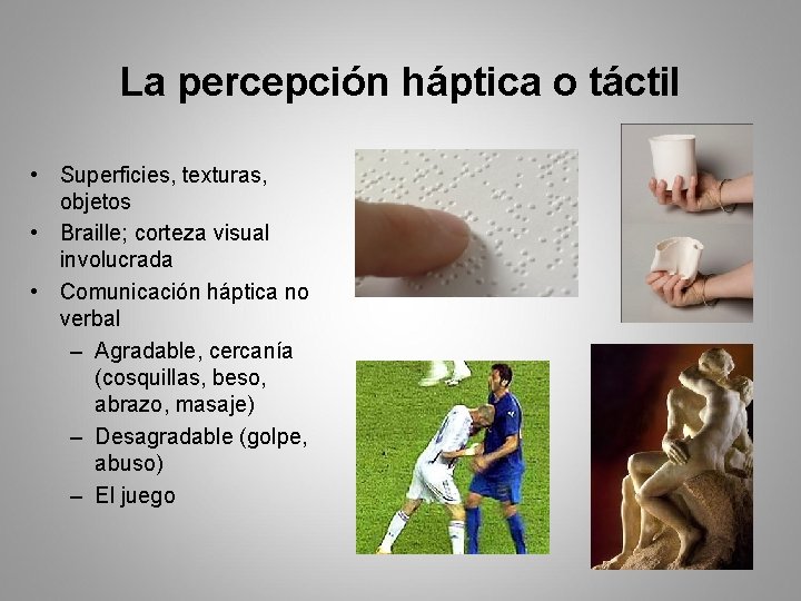 La percepción háptica o táctil • Superficies, texturas, objetos • Braille; corteza visual involucrada