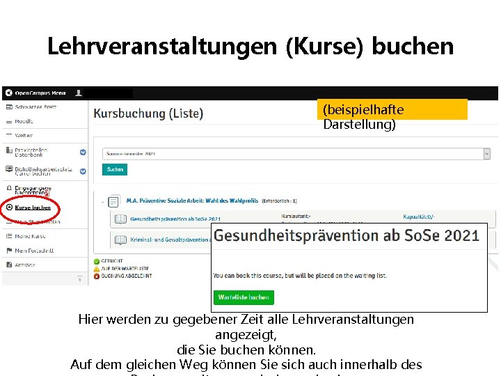 Lehrveranstaltungen (Kurse) buchen (beispielhafte Darstellung) Hier werden zu gegebener Zeit alle Lehrveranstaltungen angezeigt, die