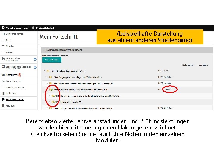 (beispielhafte Darstellung aus einem anderen Studiengang) Bereits absolvierte Lehrveranstaltungen und Prüfungsleistungen werden hier mit