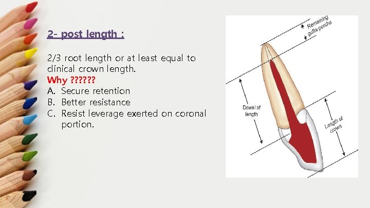 2 - post length : 2/3 root length or at least equal to clinical