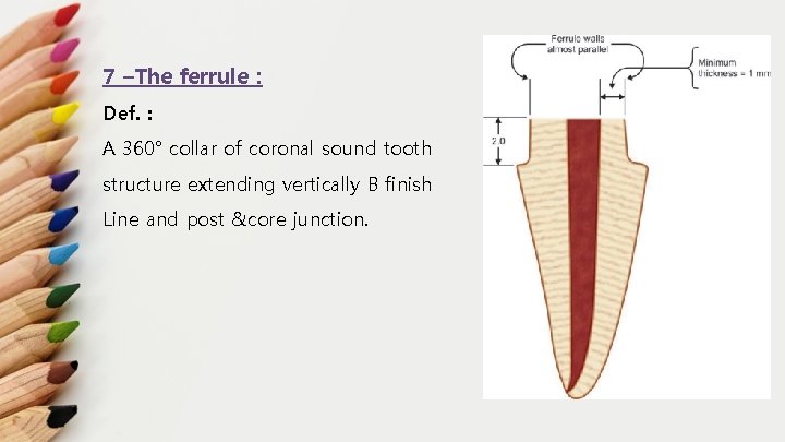 7 –The ferrule : Def. : A 360° collar of coronal sound tooth structure