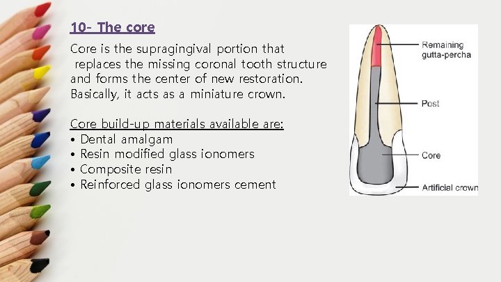10 - The core Core is the supragingival portion that replaces the missing coronal
