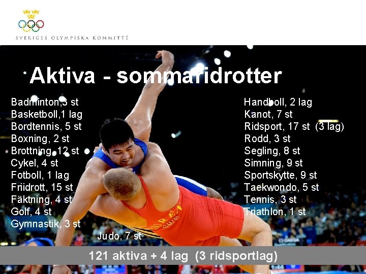 Aktiva - sommaridrotter Handboll, 2 lag Kanot, 7 st Ridsport, 17 st (3 lag)