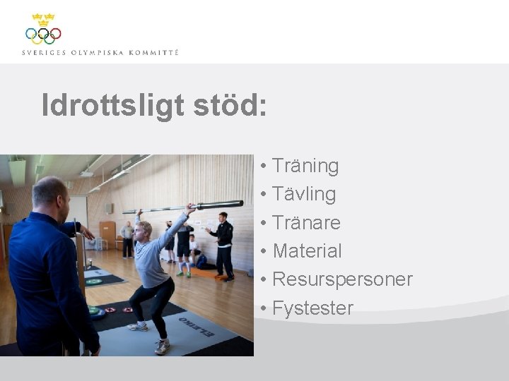 Idrottsligt stöd: • Träning • Tävling • Tränare • Material • Resurspersoner • Fystester