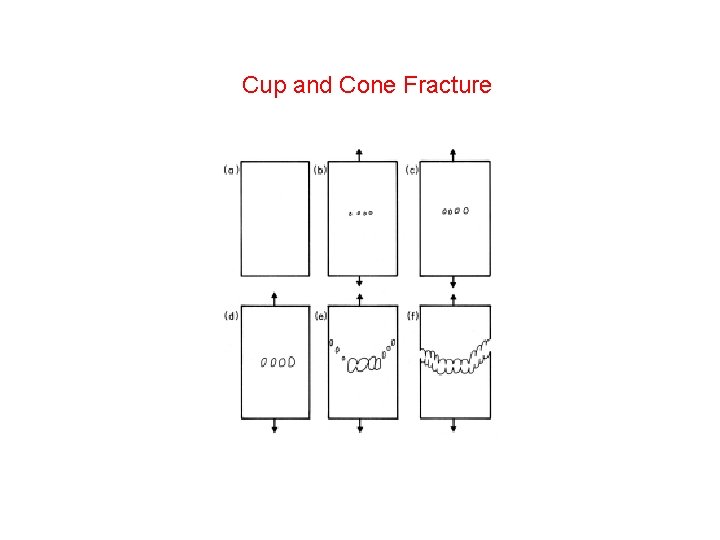 Cup and Cone Fracture Cup and Cone Fracture