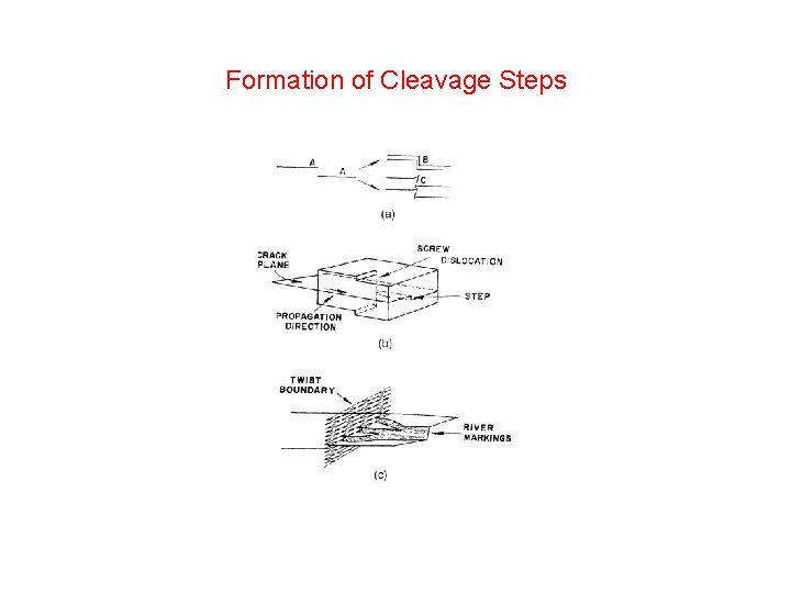 Formation of Cleavage Steps Formation of Cleavage Steps