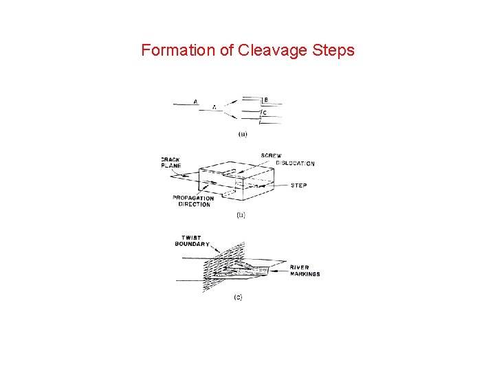 Formation of Cleavage Steps 