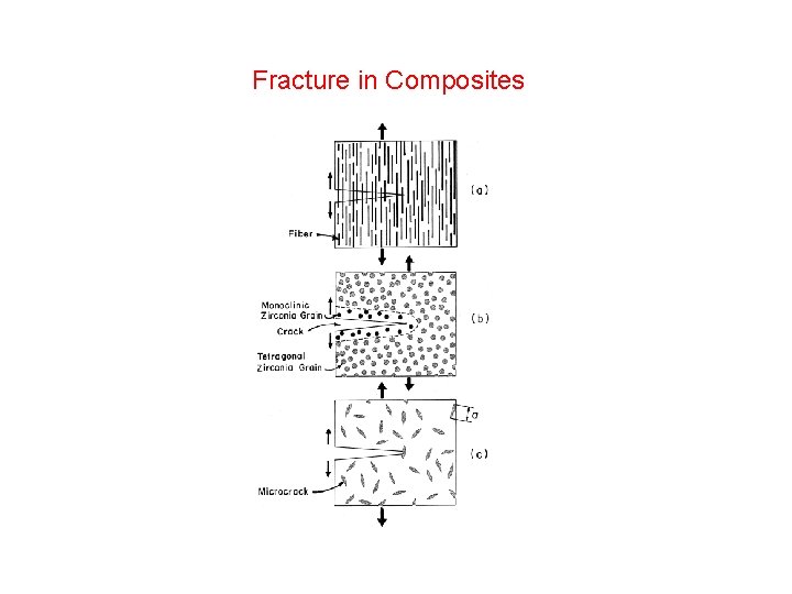 Fracture in Composites Fracture in Composites