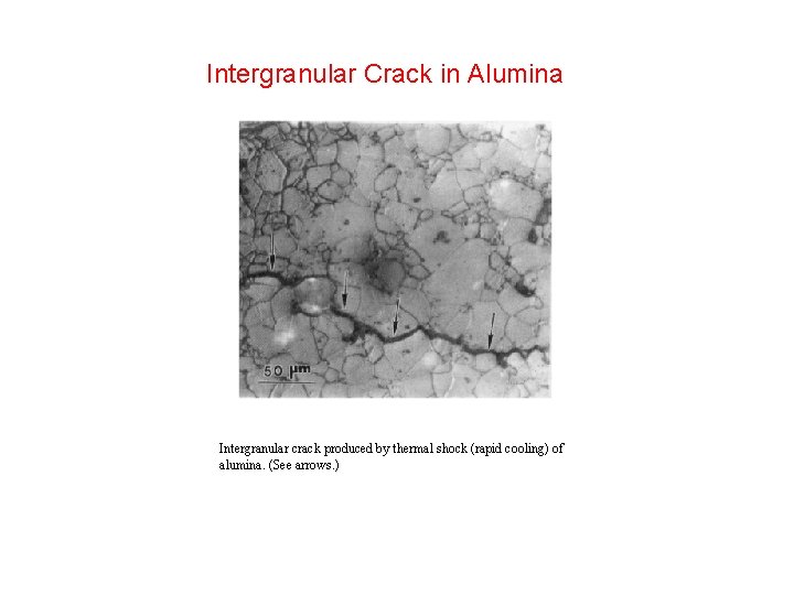 Intergranular Crack in Alumina Intergranular crack produced by thermal shock (rapid cooling) of alumina.