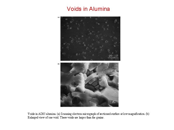 Voids in Alumina Voids in AD 85 alumina. (a) Scanning electron micrograph of sectioned