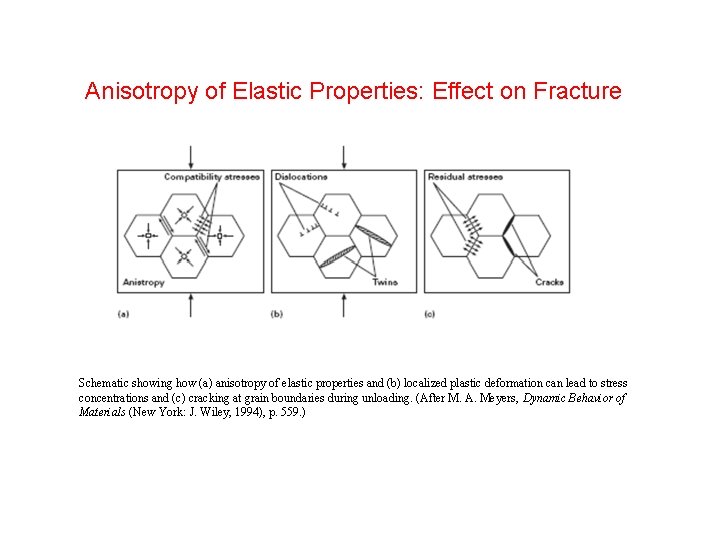 Anisotropy of Elastic Properties: Effect on Fracture Schematic showing how (a) anisotropy of elastic Anisotropy of Elastic Properties: Effect on Fracture Schematic showing how (a) anisotropy of elastic