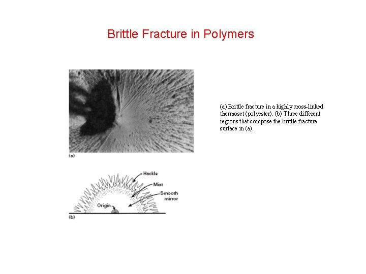 Brittle Fracture in Polymers (a) Brittle fracture in a highly cross-linked thermoset (polyester). (b) Brittle Fracture in Polymers (a) Brittle fracture in a highly cross-linked thermoset (polyester). (b)