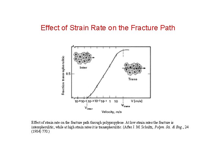 Effect of Strain Rate on the Fracture Path Effect of strain rate on the Effect of Strain Rate on the Fracture Path Effect of strain rate on the