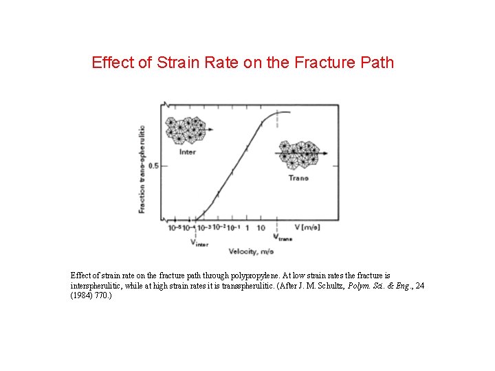 Effect of Strain Rate on the Fracture Path Effect of strain rate on the