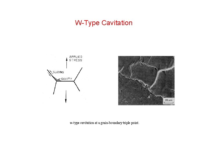 W-Type Cavitation w-type cavitation at a grain-boundary triple point. W-Type Cavitation w-type cavitation at a grain-boundary triple point.