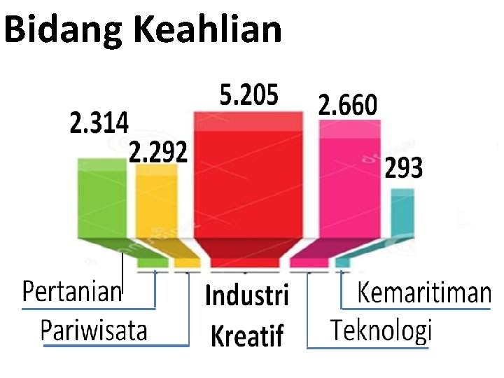 Bidang Keahlian 