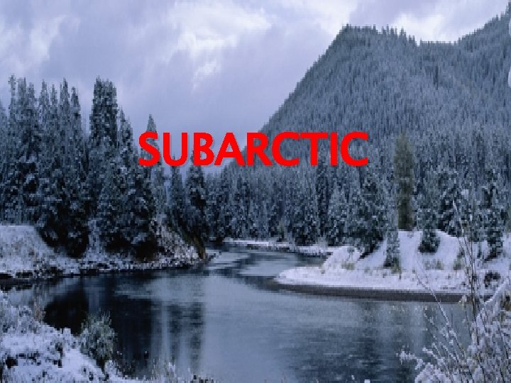 SUBARCTIC 