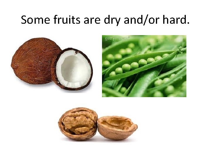 Some fruits are dry and/or hard. 
