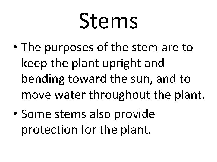 Stems • The purposes of the stem are to keep the plant upright and