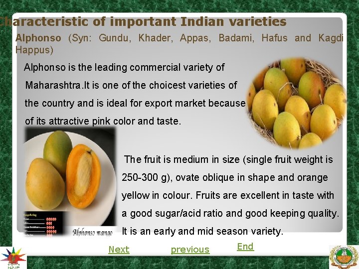Characteristic of important Indian varieties Alphonso (Syn: Gundu, Khader, Appas, Badami, Hafus and Kagdi Characteristic of important Indian varieties Alphonso (Syn: Gundu, Khader, Appas, Badami, Hafus and Kagdi