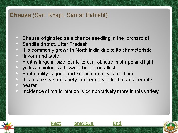 Chausa (Syn: Khajri, Samar Bahisht) • • • Chausa originated as a chance seedling Chausa (Syn: Khajri, Samar Bahisht) • • • Chausa originated as a chance seedling