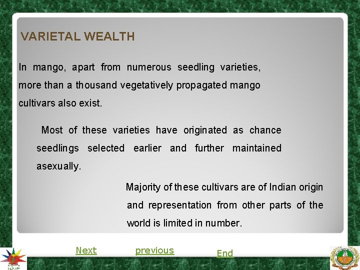 VARIETAL WEALTH In mango, apart from numerous seedling varieties, more than a thousand vegetatively VARIETAL WEALTH In mango, apart from numerous seedling varieties, more than a thousand vegetatively