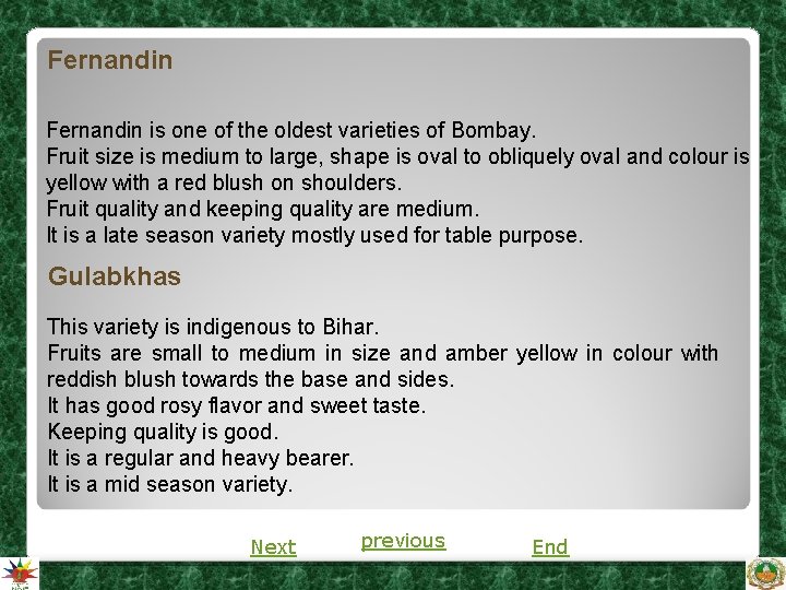 Fernandin is one of the oldest varieties of Bombay. Fruit size is medium to Fernandin is one of the oldest varieties of Bombay. Fruit size is medium to