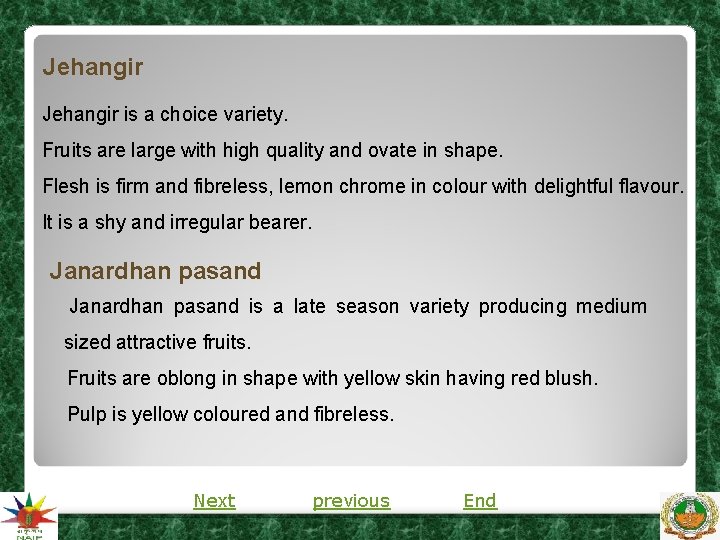 Jehangir is a choice variety. Fruits are large with high quality and ovate in Jehangir is a choice variety. Fruits are large with high quality and ovate in