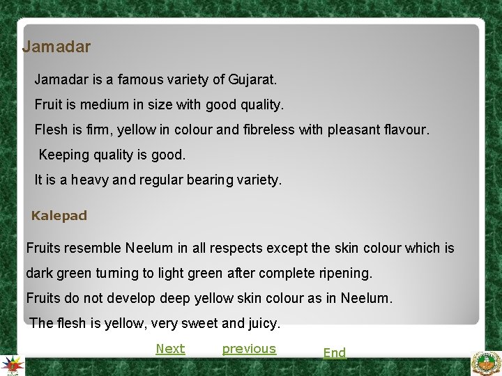 Jamadar is a famous variety of Gujarat. Fruit is medium in size with good Jamadar is a famous variety of Gujarat. Fruit is medium in size with good