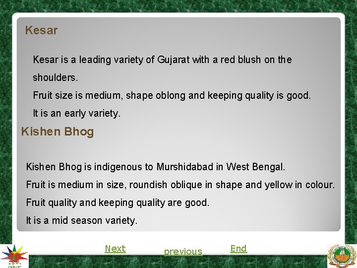 Kesar is a leading variety of Gujarat with a red blush on the shoulders. Kesar is a leading variety of Gujarat with a red blush on the shoulders.