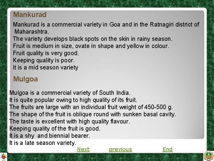 Mankurad is a commercial variety in Goa and in the Ratnagiri district of Maharashtra. Mankurad is a commercial variety in Goa and in the Ratnagiri district of Maharashtra.