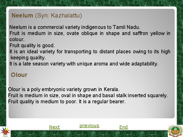 Neelum (Syn: Kazhalattu) Neelum is a commercial variety indigenous to Tamil Nadu. Fruit is Neelum (Syn: Kazhalattu) Neelum is a commercial variety indigenous to Tamil Nadu. Fruit is