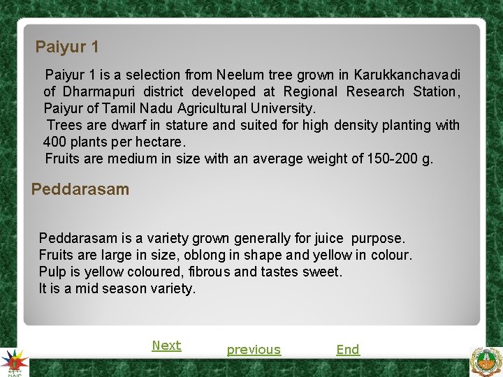 Paiyur 1 is a selection from Neelum tree grown in Karukkanchavadi of Dharmapuri district Paiyur 1 is a selection from Neelum tree grown in Karukkanchavadi of Dharmapuri district